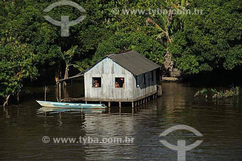  Subject: House on Amazon River in flood season between the cities of Parintins and Itacoatiara / Place: Parintins city - Amazonas state (AM) - Brazil / Date: 07/2012 