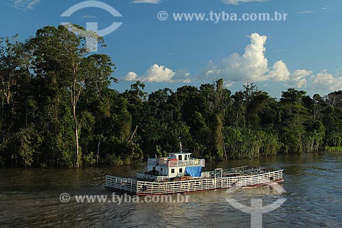  Subject: Ferry transporting cattle in the Amazon River between the cities of Urucurituba and Manaus / Place: Urucurituba city - Amazonas state (AM) - Brazil / Date: 07/2012 