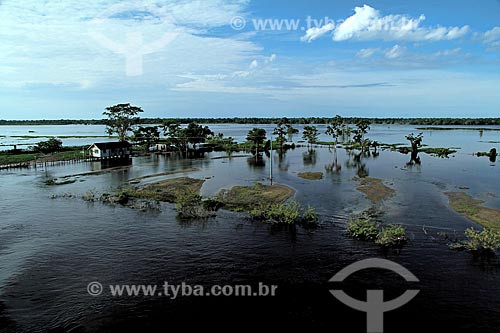  Subject: Amazon River in flood season between the cities of Itacoatiara and Manaus / Place: Itacoatiara city - Amazonas state (AM) - Brazil / Date: 07/2012 