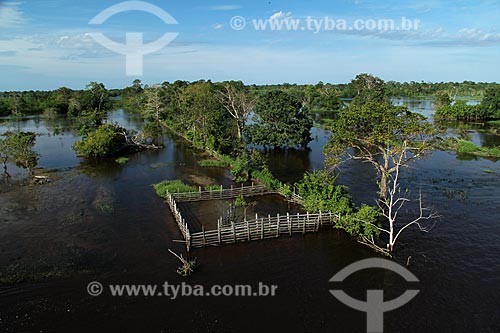  Subject: Amazon River in flood season / Place: Itacoatiara city - Amazonas state (AM) - Brazil / Date: 07/2012 