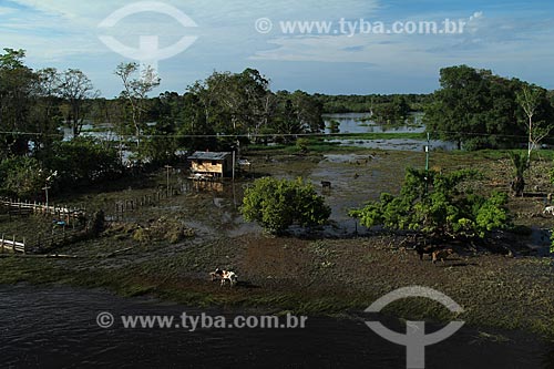  Subject: House on Amazon River in flood season / Place: Itacoatiara city - Amazonas state (AM) - Brazil / Date: 07/2012 