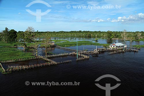  Subject: Amazon River in flood season / Place: Itacoatiara city - Amazonas state (AM) - Brazil / Date: 07/2012 