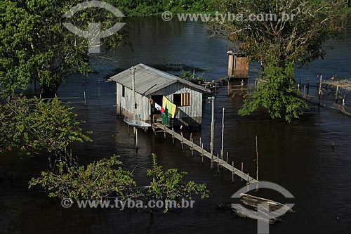  Subject: House on Amazon River in flood season / Place: Itacoatiara city - Amazonas state (AM) - Brazil / Date: 07/2012 