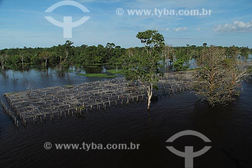  Subject: Amazon River in flood season / Place: Itacoatiara city - Amazonas state (AM) - Brazil / Date: 07/2012 