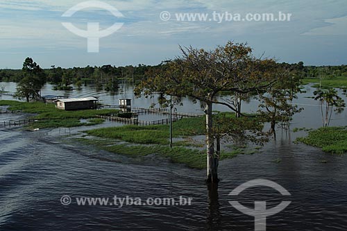  Subject: House on Amazon River in flood season / Place: Itacoatiara city - Amazonas state (AM) - Brazil / Date: 07/2012 