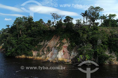  Subject: Hillside on Amazonas River / Place: Manaus city - Amazonas state (AM) - Brazil / Date: 07/2012 