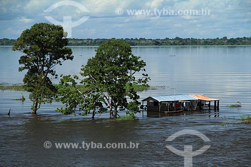  Subject: House on Amazon River in flood season / Place: Manaus city - Amazonas state (AM) - Brazil / Date: 07/2012 