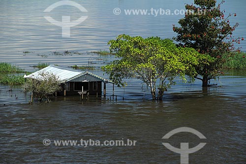  Subject: House on Amazon River in flood season / Place: Manaus city - Amazonas state (AM) - Brazil / Date: 07/2012 