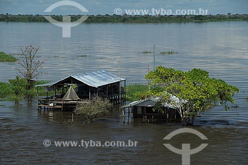  Subject: House on Amazon River in flood season / Place: Manaus city - Amazonas state (AM) - Brazil / Date: 07/2012 