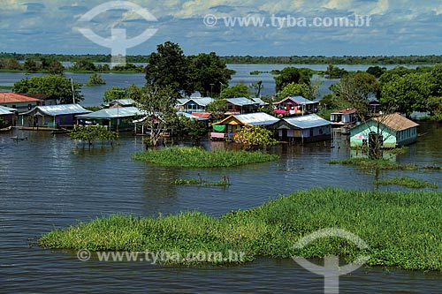  Subject: Amazonas River in the flooding season / Place: Manaus city - Amazonas state (MA) - Brazil / Date: 07/2012 