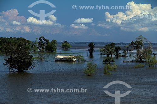  Subject: House on Amazon River in flood season / Place: Manaus city - Amazonas state (AM) - Brazil / Date: 07/2012 