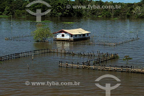  Subject: House on Amazon River in flood season / Place: Manaus city - Amazonas state (AM) - Brazil / Date: 07/2012 