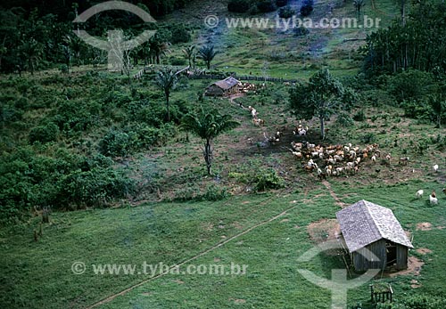  Subject: Rural property in Amazon / Place: Amazonas state (AM) - Brazil / Date: Década de 70 