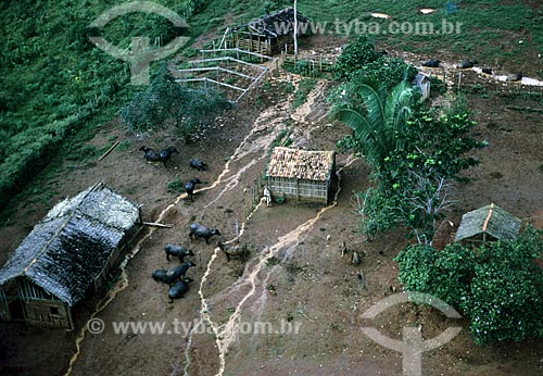  Subject: Rural property in Amazon / Place: Amazonas state (AM) - Brazil / Date: Década de 70 