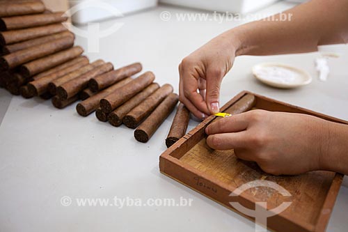  Subject: Production of cigars - Don Francisco Cigars - Mata fina tobacco / Place: Campo Verde farm - Cruz das Almas city - Bahia state (BA) - Brazil / Date: 07/2012 