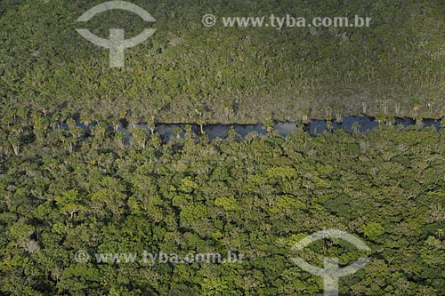  Subject: Stretch of the Agua Boa Univini River on the Serra da Mocidade National Park / Place: Caracarai city - Roraima state (RR) - Brazil / Date: 03/2012 