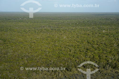  Subject: View of the Serra da Mocidade National Park / Place: Caracarai city - Roraima state (RR) - Brazil / Date: 03/2012 
