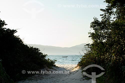  Subject: Daniela Beach / Place: Florianopolis city - Santa Catarina state (SC) - Brazil / Date: 08/2012 