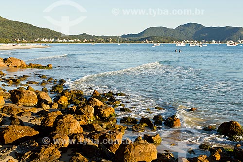  Subject: Ponta das Canas Beach  / Place: Ponta das Canas neighborhood - Santa Catarina state (SC) - Brazil / Date: 09/2012 