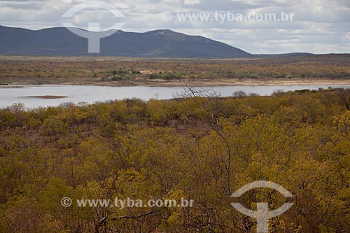  Subject: Typical vegetation of the caatinga in State Park Canudos with Dam Cocorobo in the background / Place: Canudos city - Bahia state (BA) - Brazil / Date: 06/2012 