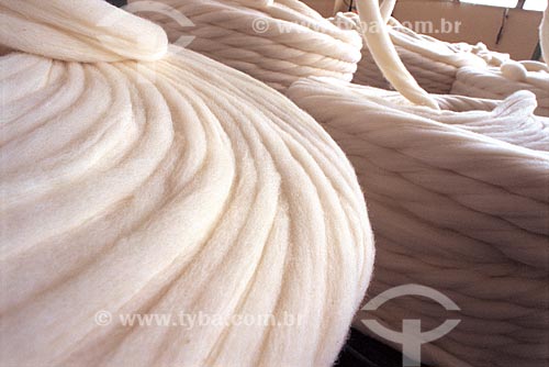  Subject: Cotton fibers - Raw material for the preparation of the wires that form the tissues - SENAI/CETIQT / Place: Riachuelo neighborhood - Rio de Janeiro state (RJ) - Brazil / Date: 2006 