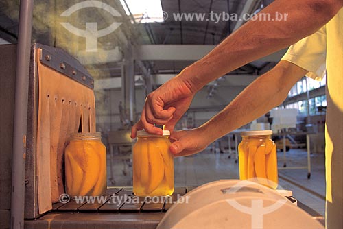  Subject: Inspection of production process in mango compote in Centro de Tecnologia do SENAI de Alimentos e Bebidas (Technology Center SENAI Food and Beverage) / Place: Vassouras city - Rio de Janeiro state (RJ) - Brazil / Date:  