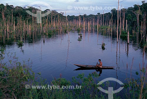  Subject: Lago do Limao (Lemon Lake) / Place: Near Manaus city - Amazonas state (AM) - Brazil / Date: 2002 