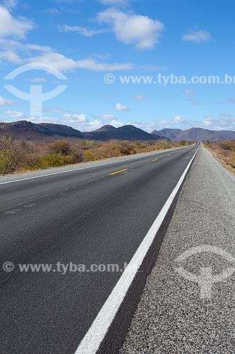  Subject: Highway BR-407 in the backwoods of Bahia / Place: Jaguarari city - Bahia state (BA) - Brazil / Date: 06/2012 