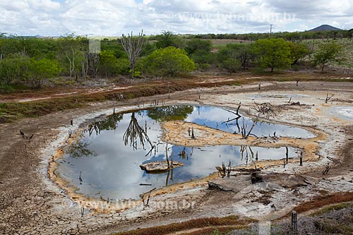  Subject: River in the drought period in the backwoods of Bahia / Place: Filadélfia city - Bahia state (BA) - Brazil / Date: 06/2012 