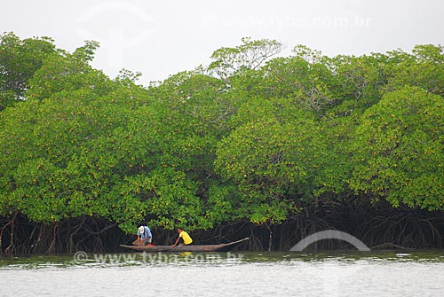  Subject: Mangrove in Marau Peninsula / Place: Marau city - Bahia state (BA) - Brazil / Date: 08/2009 