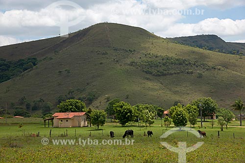  Subject: Farm in the rural zone of Sao Roque de Minas city / Place: Sao Roque de Minas city- Minas Gerais state (MG) - Brazil / Date: 10/2011 