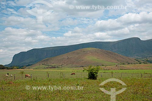  Subject: Farm in the rural zone of Sao Roque de Minas city and Chapadao of Canastra Mountain / Place: Sao Roque de Minas city- Minas Gerais state (MG) - Brazil / Date: 10/2011 