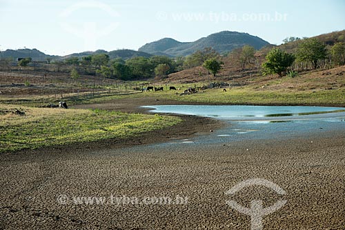  Subject: Weir in rural property in drought period / Place: Salgueiro city - Pernambuco state (PE) - Brazil / Date: 08/2012 