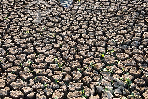  Subject: Detail of cracked soil of dam dry in the drought period / Place: Salgueiro city - Pernambuco state (PE) - Brazil / Date: 08/2012 