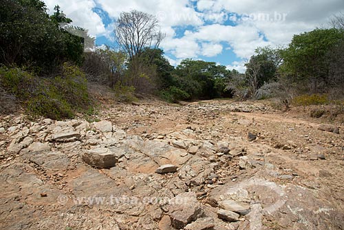  Subject: Creek Grande dry in district Bernardo Vieira / Place: Serra Talhada city - Pernambuco state (PE) - Brazil / Date: 08/2012 