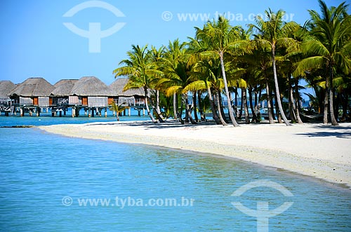  Subject: Beach with coconut trees and the bungalows of a resort in the background / Place: Bora Bora Island - French Polynesia - Oceania / Date: 10/2012 