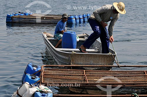  Workers with cages used on Tilapia farming  - Buritama city - Brazil