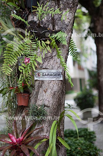  Subject: Bromeliad and orchid in Nascimento Silva street / Place: Ipanema neighborhood - Rio de Janeiro city - Rio de Janeiro state (RJ) - Brazil / Date: 11/2012 