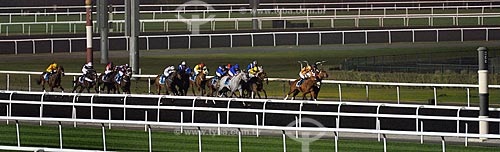  Subject: Horse race on Nad Al Sheba Racecourse / Place: Abu Dhabi - United Arab Emirates - Asia / Date: 03/2012 