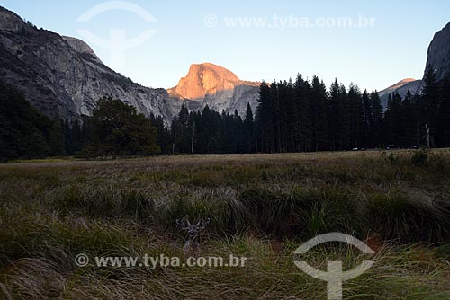  Subject: View of Yosemite National Park with the mountain Half Dome in the background / Place: California state - United States of America - USA / Date: 09/2012 