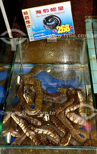  Subject: Aquarium with snakes in a typical Chinese restaurant / Place: Xiguan District - Guangzhou - China - Asia / Date: 08/2010 
