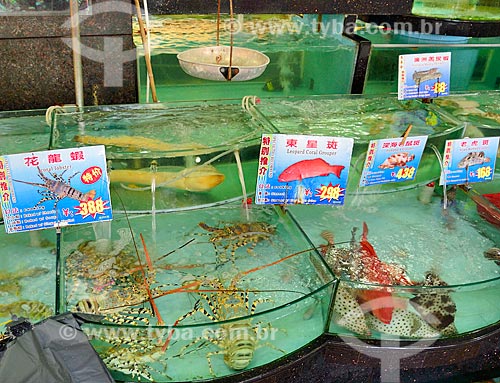  Subject: Typical Chinese restaurant - aquariums remain fish alive so they can be eaten fresh / Place: Xiguan District - Guangzhou - China - Asia / Date: 08/2010 
