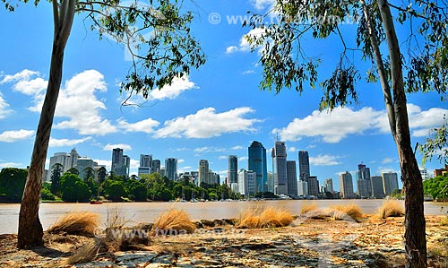  Subject: Banks of the River Brisbane with buildings in the background / Place: Brisbane city - Queensland state - Australia - Oceania / Date: 01/2011 