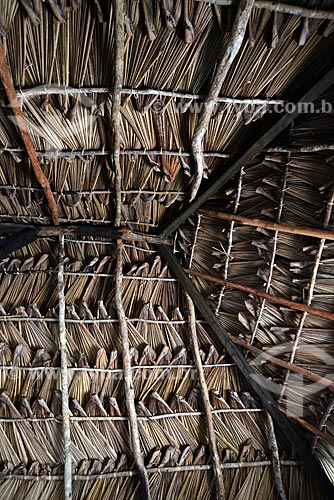  Subject: Straw roof of carnauba / Place: Barreirinhas city - Maranhao state (MA) - Brazil / Date: 10/2012 