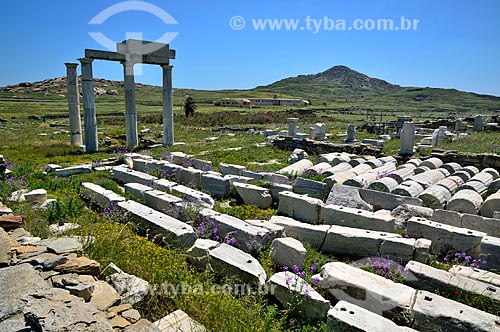  Subject: Agora of the Competialists / Place: Delos Island - Mykonos Island - Greece - Europe / Date: 04/2011 