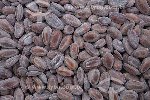  Subject: Seeds of Enterolobium timbouva / Place: Alta Floresta city - Mato Grosso state (MT) - Brazil / Date: 05/2012 