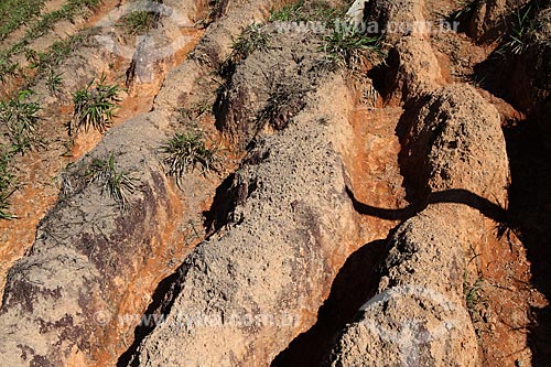  Subject: Gully - Soil Erosion / Place: Alta Floresta city - Mato Grosso state (MT) - Brazil / Date: 05/2012 