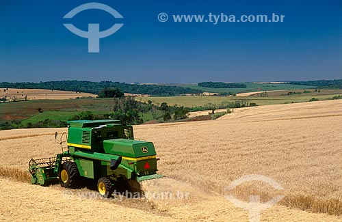  Subject: Wheat harvest in the rural area of Santa Catarina / Place: Lages city - Santa Catarina state (SC) - Brazil / Date: 06/2011 