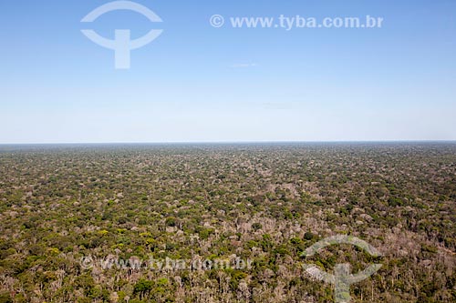  Subject: Aerial view of the Xingu Indigenous Park / Place: Gaucha do Norte city - Mato Grosso state (MT) - Brazil / Date: 08/2012 