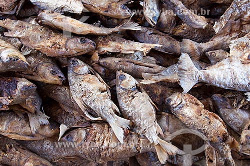  Smoked fishes for Kuarup ceremony - this years ceremony in honor of the anthropologist Darcy Ribeiro - Photo Licensed (Released 94) - INCREASE OF 100% OF THE VALUE OF TABLE  - Gaucha do Norte city - Mato Grosso state (MT) - Brazil
